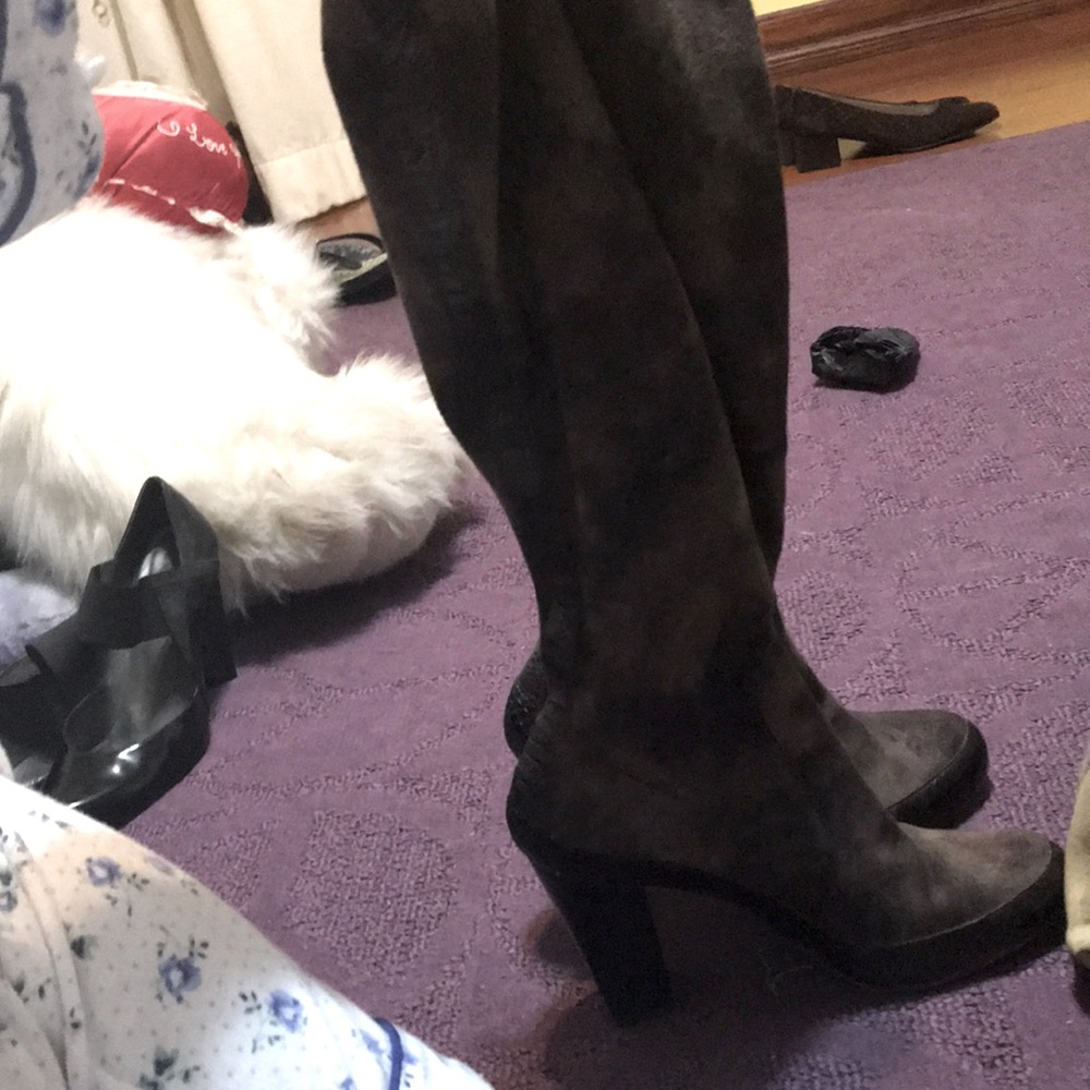 Donald Pliner boots